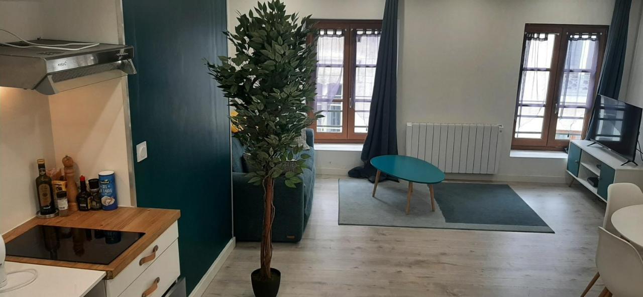 Appartement Netflix Centre De Vienne Pres De Lyon Bagian luar foto